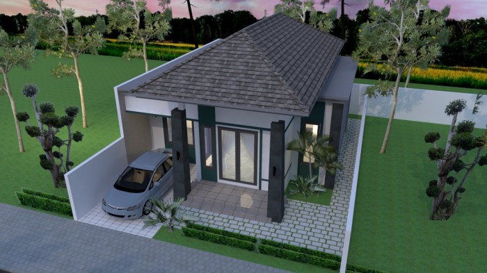 Desain rumah ukuran tanah 10x15