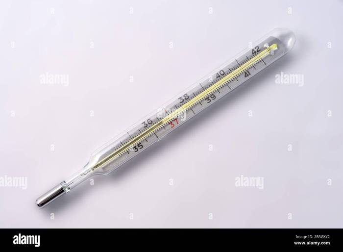 Analoge thermometer fürs wohnzimmer